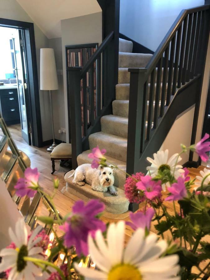 Bed and Breakfast The Niche AEGON International Esterno foto